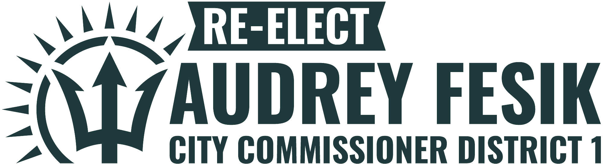 Re-elect Audrey Fesik, City Commissioner District 1